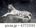 動物 髪 ハント