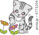 猫と花