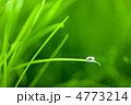 4773214