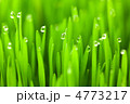 4773217