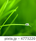 4773220