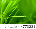 4773221