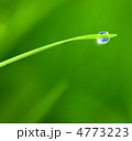 4773223