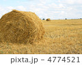4774521