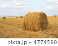 4774590
