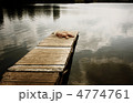 4774761