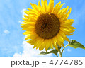 4774785