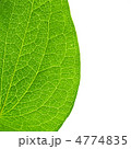 4774835