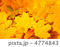 4774843