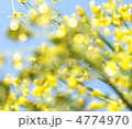 4774970