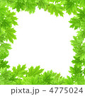 4775024