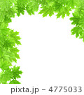 4775033