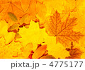 4775177