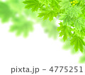 4775251