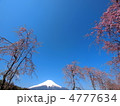 富士山と桜