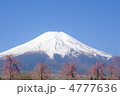 富士山と桜
