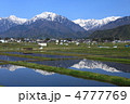 春の田園
