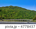 新緑の嵐山