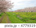 さんぽみち