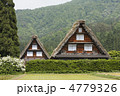 初夏の合掌村