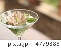 グラスフラワー