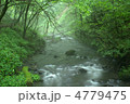 新緑・軽井沢