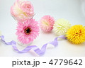 花 花