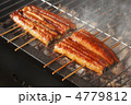 鰻の蒲焼き