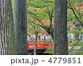 高野山の秋