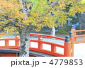 高野山の秋