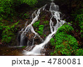 白岩の滝群の一つ雨乞の滝（東京都日の出町）