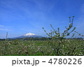 広大なりんご畑と岩木山