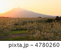 黄昏　岩木山とりんご畑