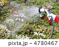 散水