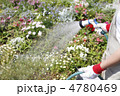 散水