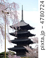 東寺、散り際の不二桜と五重塔