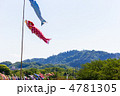 高尾山と鯉のぼり