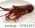 伊勢エビ