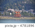宮島