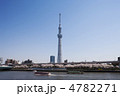 隅田公園の桜と東京スカイツリー