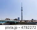 隅田公園の桜と東京スカイツリー
