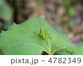 世に出る