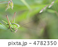世に出る 世に出る