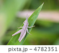 世に出る