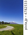 岩手山への道（縦）