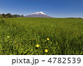 たんぽぽと岩手山
