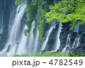 白糸の滝新緑