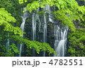 白糸の滝新緑