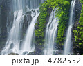 白糸の滝新緑