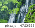 白糸の滝新緑